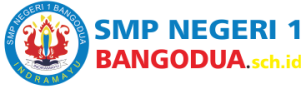 logo divisi12